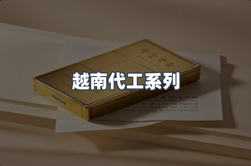 越南代工系列